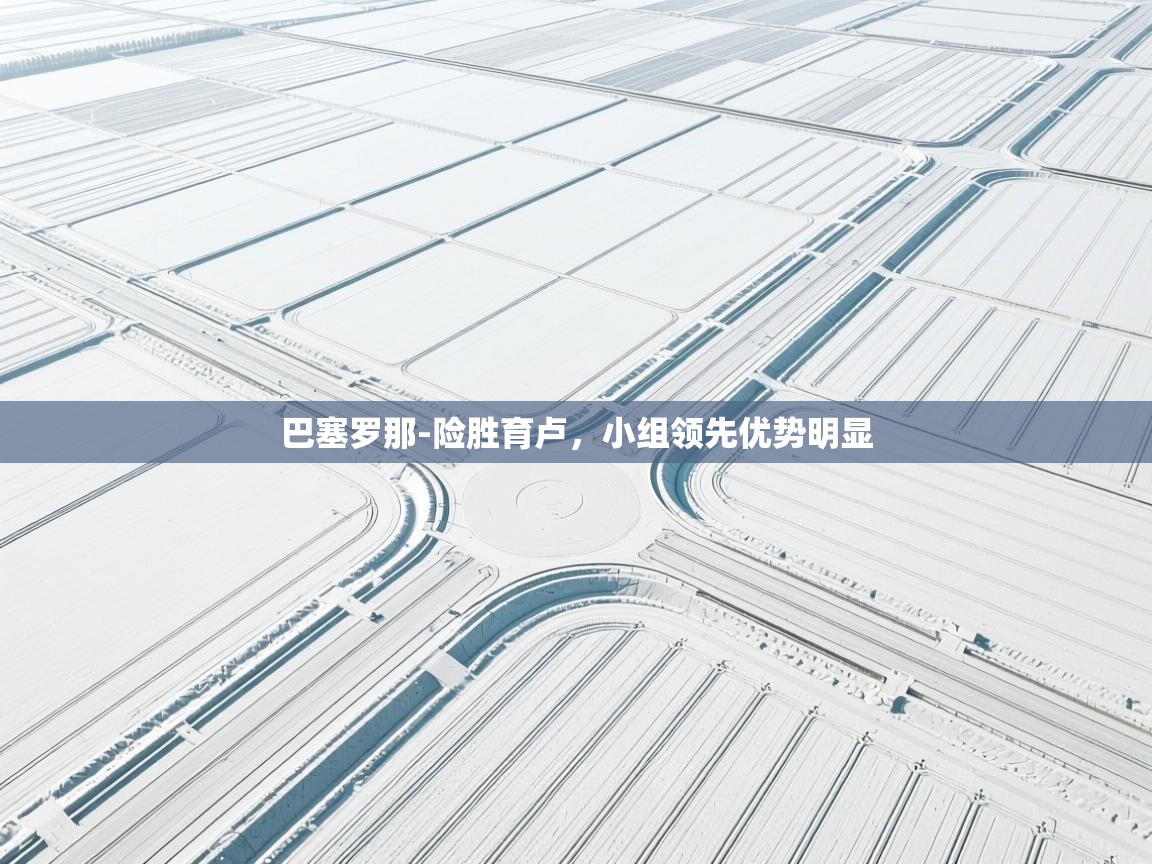 巴塞罗那-险胜育卢，小组领先优势明显  第1张