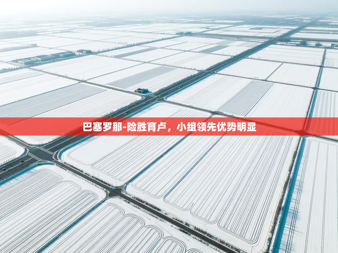 巴塞罗那-险胜育卢，小组领先优势明显  第2张