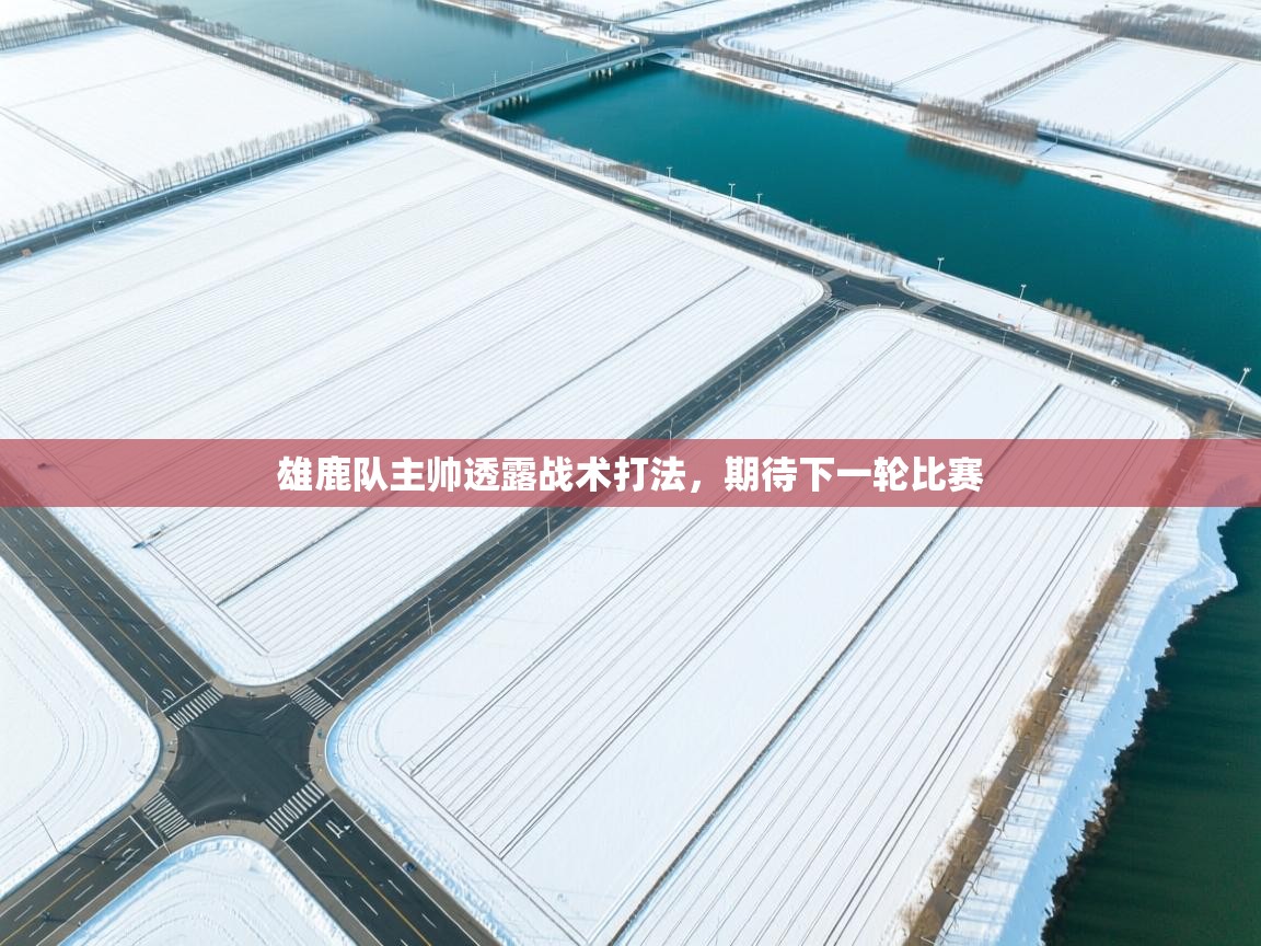 雄鹿队主帅透露战术打法,期待下一轮比赛 第2张