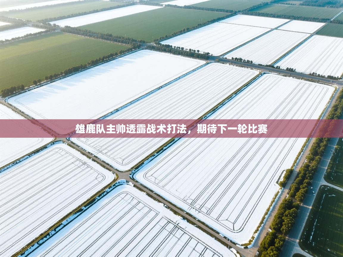 雄鹿队主帅透露战术打法，期待下一轮比赛