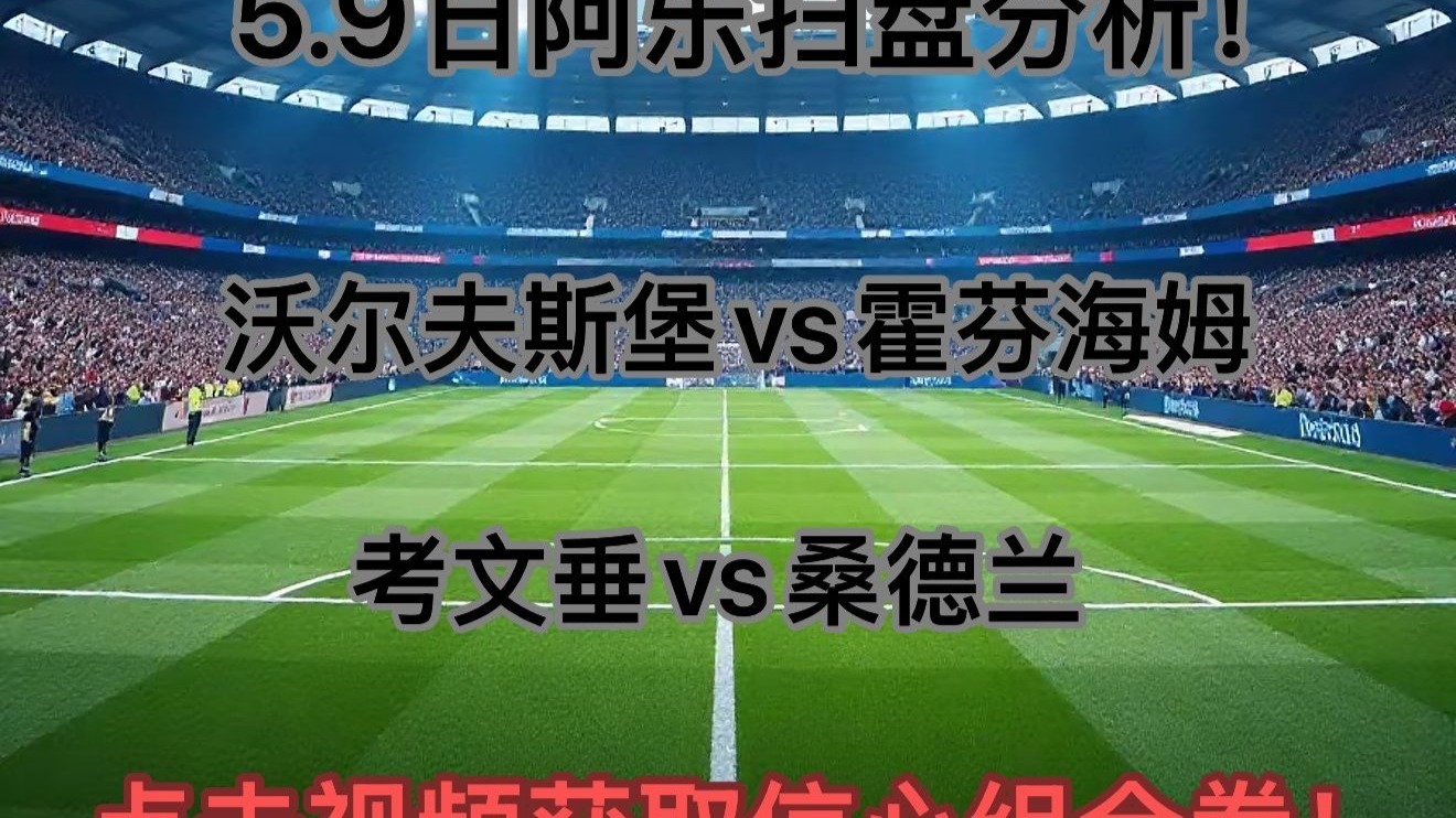 沃尔夫斯堡取得多场胜利，正处于巅峰状态的简单介绍