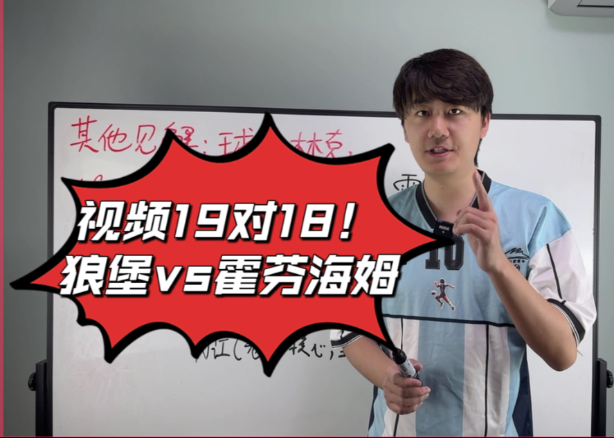 爱游戏官方入口-霍芬海姆不敌狼堡，遭遇客场失利的简单介绍