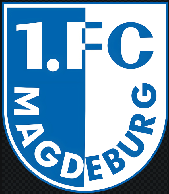 包含汉堡主力中场受伤缺阵，影响球队实力的词条