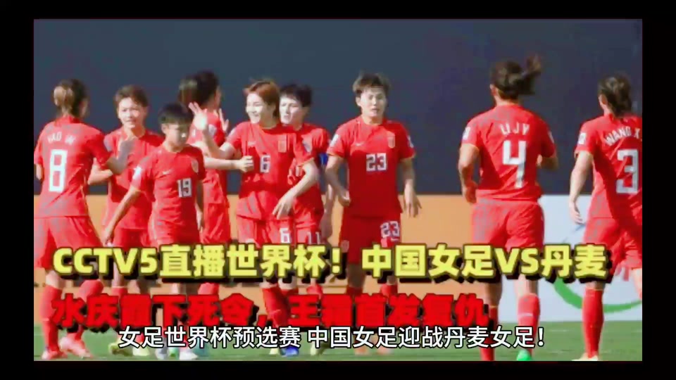 波兰女足队长因意外退出比赛