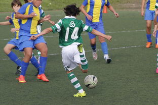 爱游戏中国官网-瓦朗谢纳客场逆转，夺取法国联赛宝贵胜利