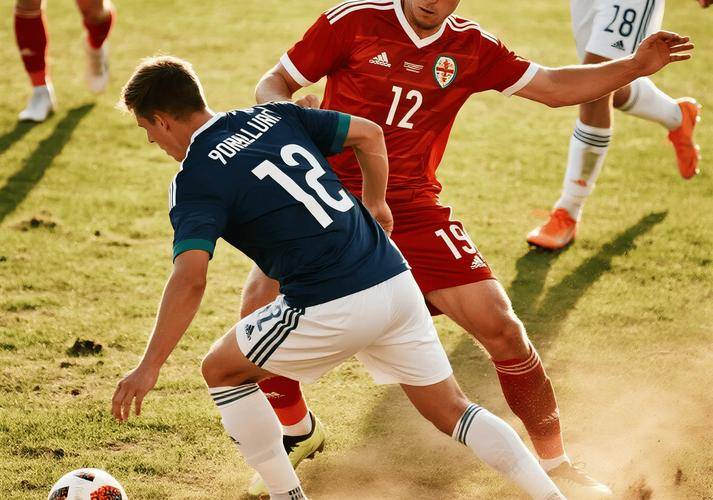 爱游戏体育官网-卢森堡队主场击败斯洛文尼亚收获胜利