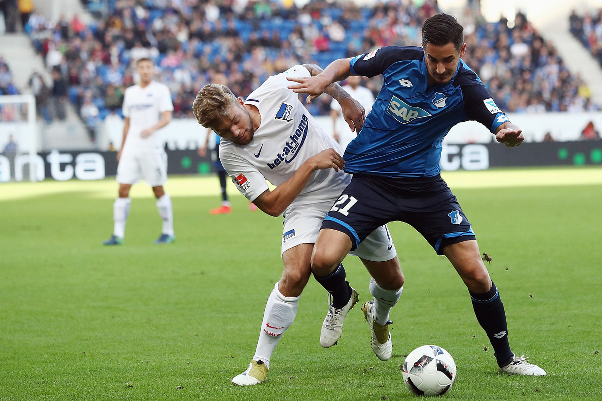 关于霍芬海姆连胜赔率飙升，成为人气球队的信息